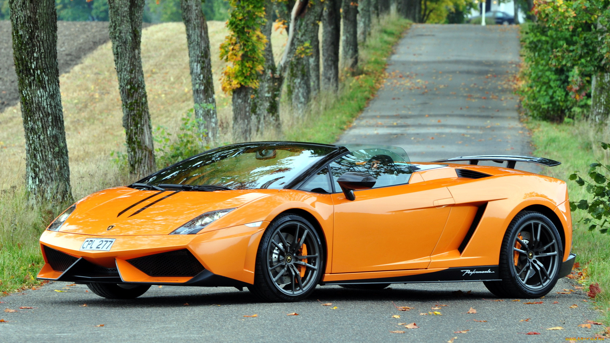 lamborghini, gallardo, , automobili, s, p, a, , 